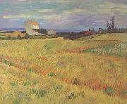 Vincent Van Gogh Wheat Field (nn04) USA oil painting artist